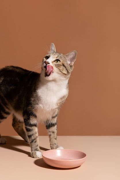 A tabby cat licking its lips beside its food bowl